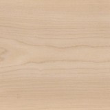 SUGAR MAPLE AR0W8020