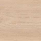 SUGAR MAPLE AR0W8020